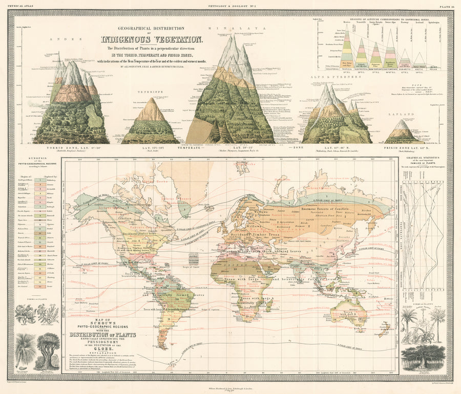 Antique Map: Geographical Distribution of Indigenous Vegetation By: A.K. Johnston, 1856