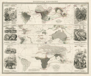 Antique Map: Geographical Distribution of Quadrumana, Marsupialia, Edentata, and Pachydermata by A.K. Johnston, 1856