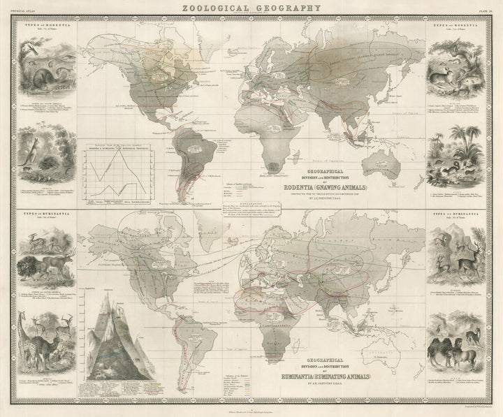 Antique World Map showing the Geographical Distribution of Rodentia and Ru, 1856tia by Alexander Keith Johnston, 1856