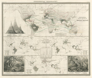 Antique World Map showing the Geographical Distribution of Reptilia by Alexander Keith Johnston, 1856