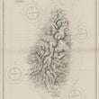 Load image into Gallery viewer, Antique Nautical Chart of St. Lucia by: British Admiralty 1889 / 1947 
