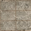 Load image into Gallery viewer, 1829 Pianta Topografica della Citta di Roma dell' Anno 1829
