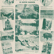 Load image into Gallery viewer, Vintage travel poster for the Black Hills of South Dakota, featuring a central title block and multiple inset photographs of landscapes, a cowboy on horseback, a bison, and vehicles traveling through the mountains.
