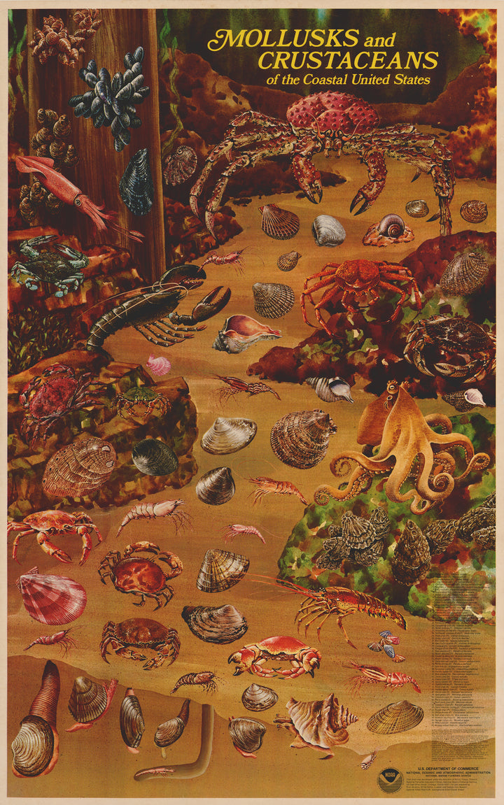 Mollusks and Crustaceans of the Coastal United States by: NOAA, 1975 (circa)
