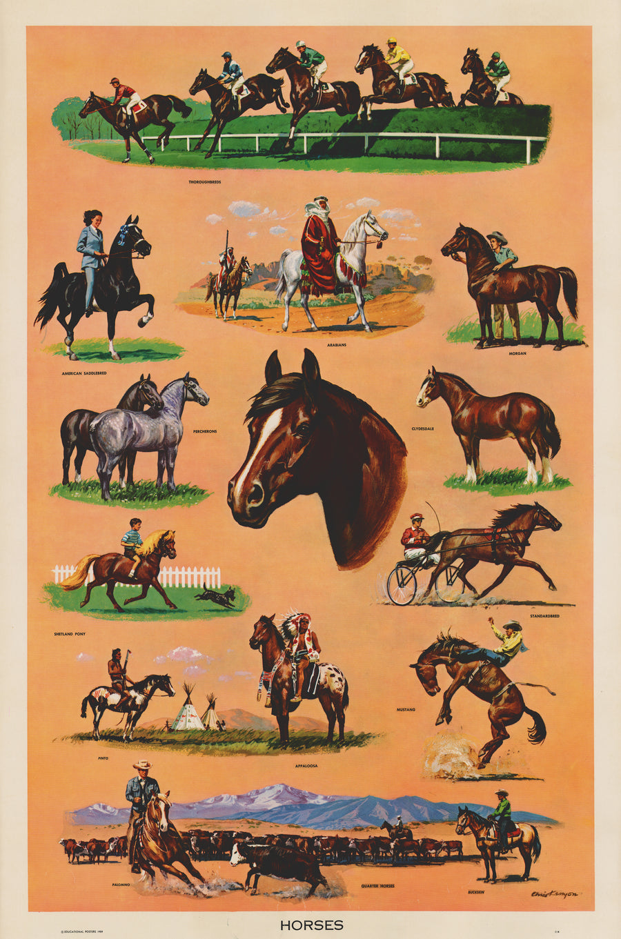 Horses by: Educational Posters, 1959 