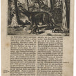 Load image into Gallery viewer, 1673 Engraving of Pinzón's Men Capturing a Strange Beast
