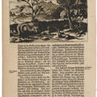 Load image into Gallery viewer, 1673 Engraving of Tobacco, Sassafras, and Wildlife on Tobago
