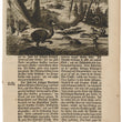 Load image into Gallery viewer, 1673 Engraving of a Papaya Grove and Hunters Stalking Waterbirds
