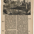 Load image into Gallery viewer, 1673 Engraving of Cacti and a Sweet Potato Vine on Jamaica
