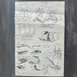 Load image into Gallery viewer, 1875 - 1889 Fortification - Encyclopædia Brittanica
