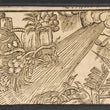 Load image into Gallery viewer, 16th Century Miniature Woodcuts
