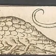 Load image into Gallery viewer, 16th Century Miniature Woodcuts
