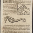Load image into Gallery viewer, 16th Century Miniature Woodcuts
