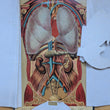 Load image into Gallery viewer, 1886 Yaggy's Anatomical Study
