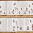 Load image into Gallery viewer, 1946 Map of Mankind - with Original  Envelope and Booklet
