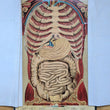Load image into Gallery viewer, Anatomical diagram of a human body on an open book with visible text and illustrations.
