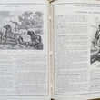 Load image into Gallery viewer, 1868 Guyot’s Geographical Series: Intermediate Geography. The Earth and Its Inhabitants
