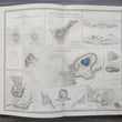 Load image into Gallery viewer, 1856 The Physical Atlas of Natural Phenomena - 2nd Edition
