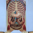 Load image into Gallery viewer, Anatomical diagram of the ribcage and internal organs on an open book.
