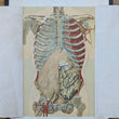 Load image into Gallery viewer, 1894 Yaggy's Anatomical Portfolio
