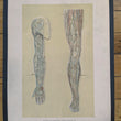 Load image into Gallery viewer, 1894 Yaggy's Anatomical Portfolio
