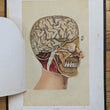 Load image into Gallery viewer, 1894 Yaggy's Anatomical Portfolio
