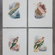 Load image into Gallery viewer, 1970s Figureheads at The Mariners Museum, Newport News, Virginia
