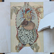Load image into Gallery viewer, 1894 Yaggy's Anatomical Portfolio
