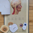 Load image into Gallery viewer, 1886 Yaggy's Anatomical Study
