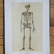 Load image into Gallery viewer, 1894 Yaggy's Anatomical Portfolio
