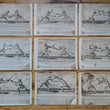 Load image into Gallery viewer, 1628 Rapier Prints of Sword-and-Dagger Techniques from Scola, Overo Teatro by Nicoletto Giganti

