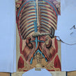 Load image into Gallery viewer, 1886 Yaggy's Anatomical Study
