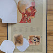 Load image into Gallery viewer, 1886 Yaggy's Anatomical Study
