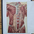 Load image into Gallery viewer, 1894 Yaggy's Anatomical Portfolio
