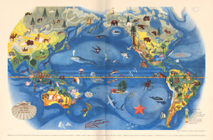 Pageant of the Pacific: PLATE II. Flora and Fauna of the Pacific by: Miguel Covarrubias, 1940