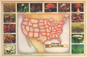 A Field Guide to American Wild Highs - High Times Map, 1978