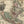 Load image into Gallery viewer, 1730 Novus Orbis sive America Meridionalis et Septentrionalis...

