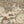 Load image into Gallery viewer, World Map: Nova Totius Terrarum Orbis Geographica ac Hydrographica Tabula, by: Blaeu 1631
