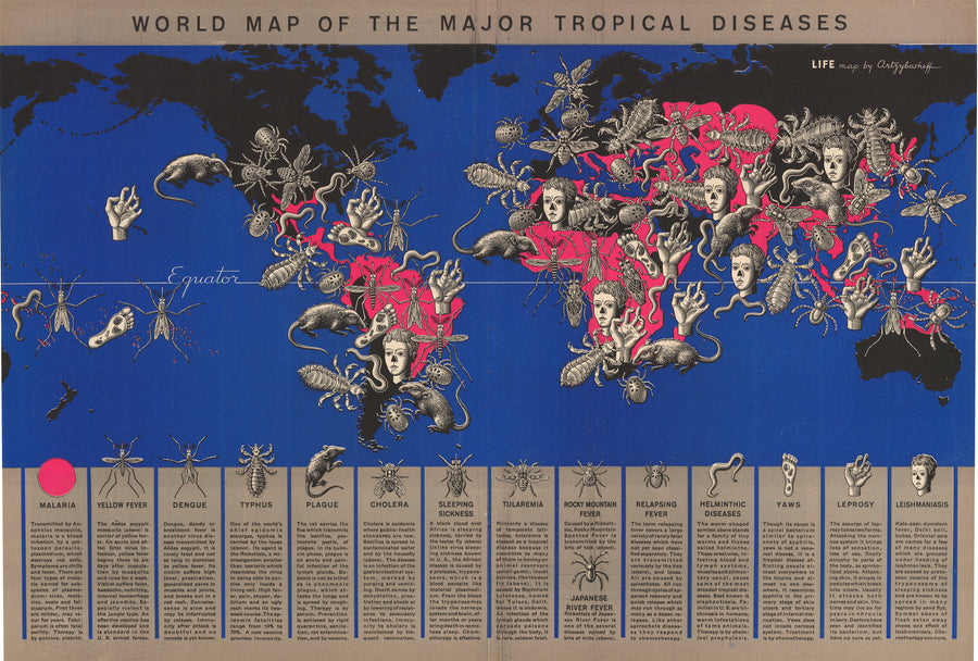 World Map of the Major Tropical Diseases - Life Magazine, 1944