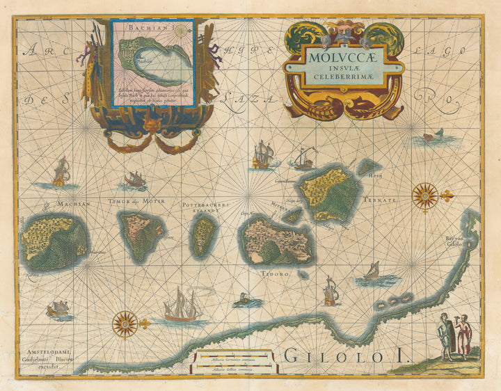 Antique Map: Moluccae Insulae Celeberrimae By: Willem Janszoon Blaeu, 1640 
