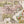 Load image into Gallery viewer, Accurata delineatio celeberrimae Regionis Ludovicianae vel Gallice Louisiane ol. Canadae et Floridae Adpellatione in Septemtrionali America Descriptae quae Hodie Nomine Fluminis Mississippi vel St. Louis . . . By: Matthaus Seutter 1720
