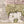 Load image into Gallery viewer, Accurata delineatio celeberrimae Regionis Ludovicianae vel Gallice Louisiane ol. Canadae et Floridae Adpellatione in Septemtrionali America Descriptae quae Hodie Nomine Fluminis Mississippi vel St. Louis . . . By: Matthaus Seutter 1720
