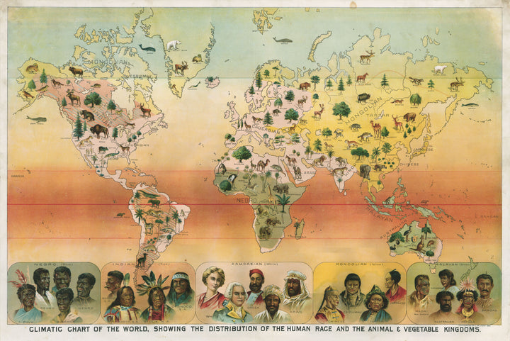 Antique Chromolithograph Map: Yaggy's Climatic Chart of the World - Race, Plants, and Animals 1893