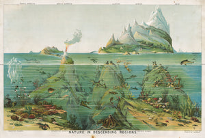 Antique Chromolithograph Print: Nature in Descending Regions by Levi Walter Yaggy, 1893