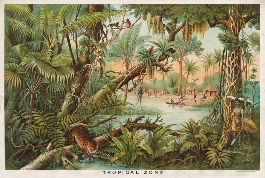 Antique Chromolithograph: the Tropical Zone by Levi Walter Yaggy, 1893