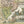 Load image into Gallery viewer, Antique Map of English Colonies in America: Recens Edita totius Novi Belgii in America Septentrionali..., by Tobias Conrad Lotter, 1757
