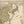 Load image into Gallery viewer, Antique Map of Asia: Carte Des Indes et de la Chine by Delisle / Covens &amp; Mortier, 1730
