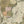 Load image into Gallery viewer, Carte De La Mer Baltique Contenant les Bancs, Isles Et Costes ﻿comprises entre l&#39;isle de Zelande et l&#39;extrémité du Golfe de Finlande. By: Pierre Mortier  Date: 1693 
