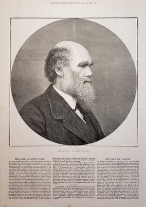 Antique print of Charles Darwin 1882