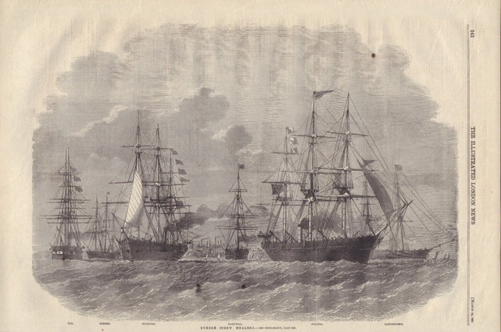 Dundee Screw Whalers by: London Illustrated News, 1861
